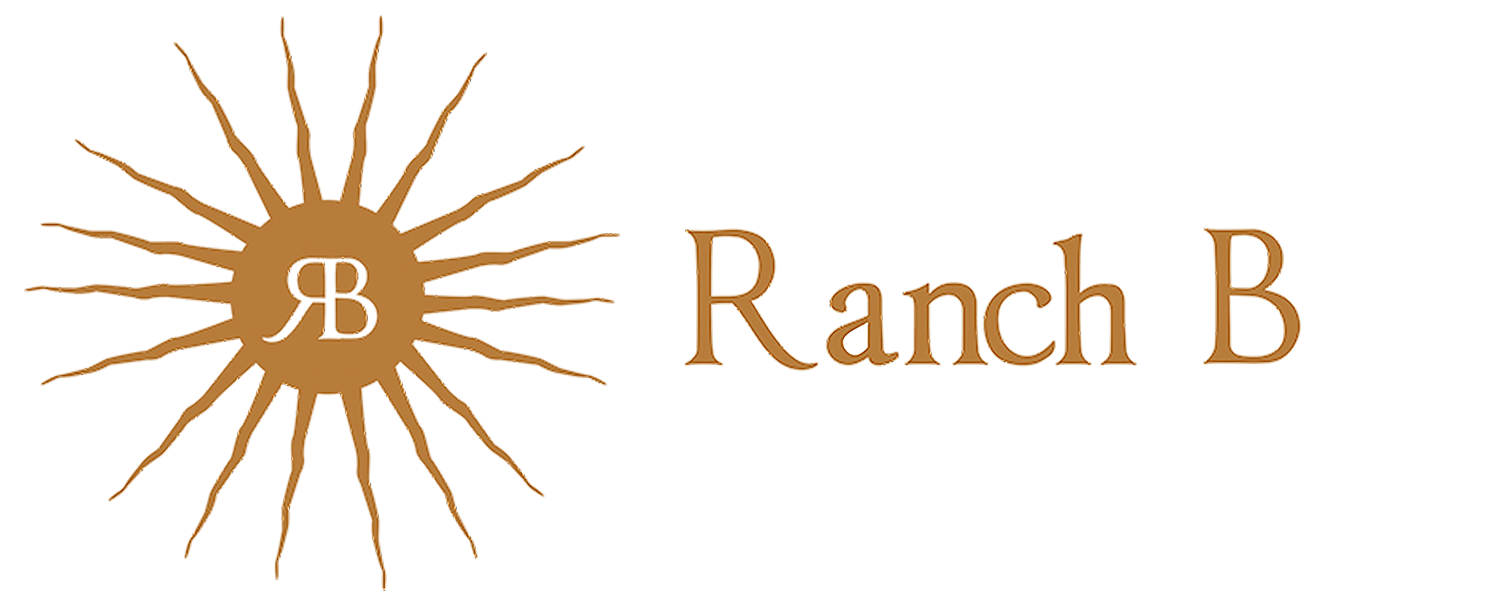 logo trasparent